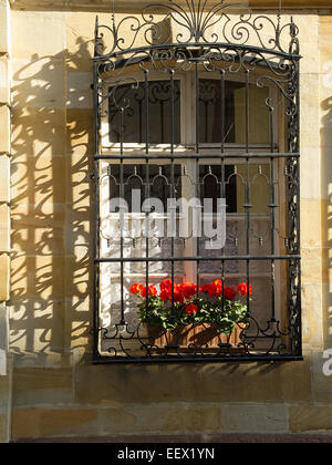 Finestra box con gerani e ornati finestra grill e ombre in Mulhouse Francia Foto Stock