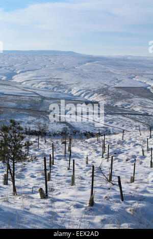 Vista su south Tyne Valley a croce cadde Foto Stock