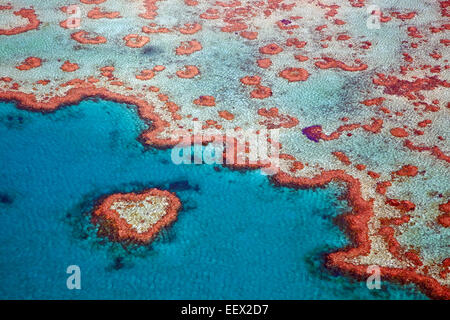 Vista aerea del cuore a forma di cuore Reef, parte della Grande Barriera Corallina di Whitsundays in mare di corallo, Queensland, Australia Foto Stock