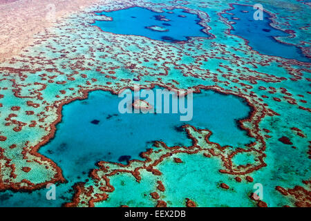 Vista aerea del cuore a forma di cuore Reef, parte della Grande Barriera Corallina delle Whitsundays nel Mar dei Coralli, Queensland, Australia Foto Stock