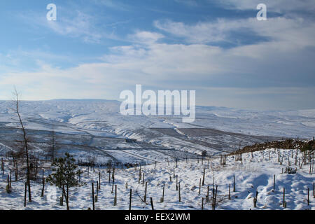 Vista attraverso il South Tyne Valley a croce cadde Foto Stock