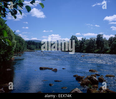 Il Fiume Spey vicino Speybridge Grantown-on-Spey vicino a Aviemore Scozia Speyside Foto Stock