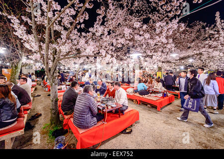 Le persone godono di stagione primaverile da partecipando in notturna Festival Hanami nel Parco di Maruyama. Foto Stock