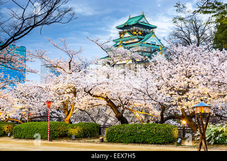 Osaka in Giappone presso il Castello di Osaka durante la stagione primaverile. Foto Stock