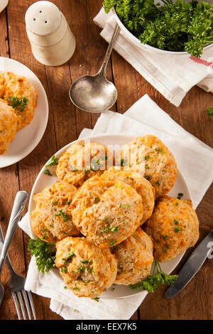 In casa il formaggio Cheddar biscotti con prezzemolo Foto Stock