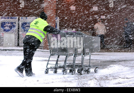 CT USA UN LAVORATORE recupera i carrelli nel parcheggio di Stop & Shop supermercato di Woodbridge come la tempesta preleva il martedì pomeriggio. Foto Stock