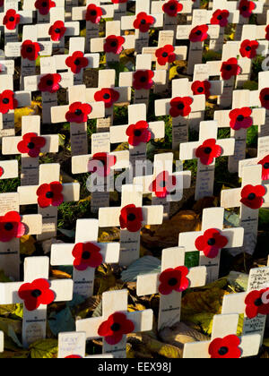 Righe del Royal British Legion memorial papaveri sulle croci di legno per commemorare i morti della guerra sul ricordo domenica nel Regno Unito Foto Stock