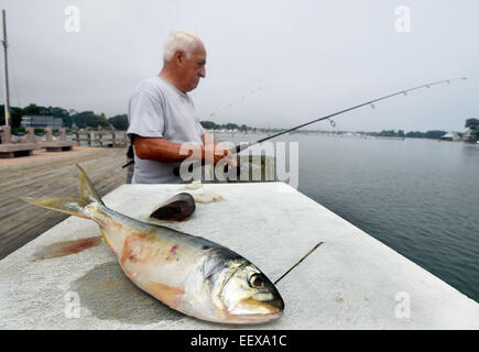 Salvatore Pisceitelli di Branford pesci a Branford Punto inizio martedì pomeriggio. Pisceitelli era la pesca di pesce azzurro, utilizzando pezzi di Bunker, in primo piano. Il 15 luglio 2014. CT STATI UNITI D'AMERICA Foto Stock