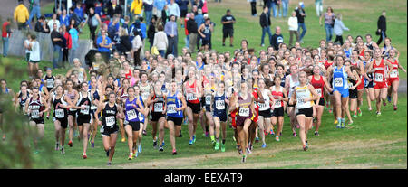 L'inizio delle ragazze stato aperto Cross Country campionato a Wickham Park a Manchester. Nel centro, #2356 è Hannah DeBalsi dei punti metallici che ha vinto la gara. Foto Stock