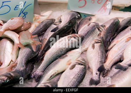 Pesce in un mercato Foto Stock