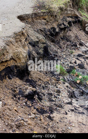 Erosione del suolo - la costa distrutta della foresta fiume closeup paesaggio Foto Stock