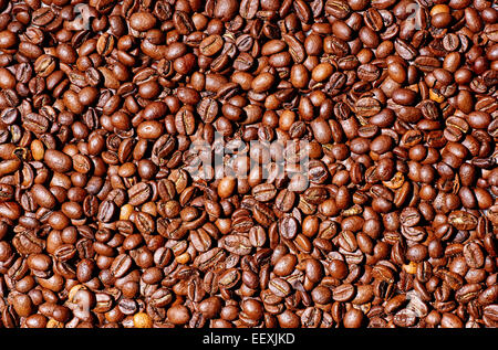 Chicchi di caffè tostati Foto Stock