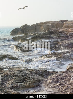 Seagull sorvolano increspato acqua e paesaggio roccioso, Maiorca, Spagna. Foto Stock