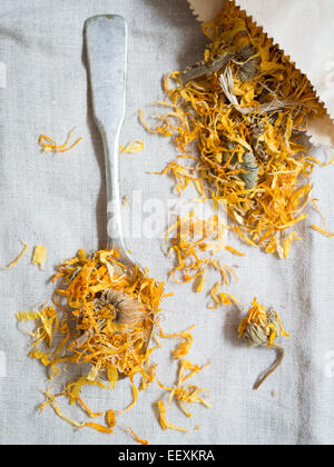Asciugare la calendula officinalis (Calendula). Foto Stock