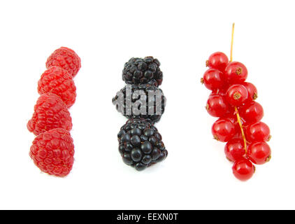More, ribes rosso e lamponi disposti in ranghi su sfondo bianco Foto Stock