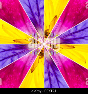 Centro fiori Symmetric collage fatto di raccolta di vari fiori selvatici. Pezzi sono Seamlesly suddiviso in pezzi simmetrici. Foto Stock