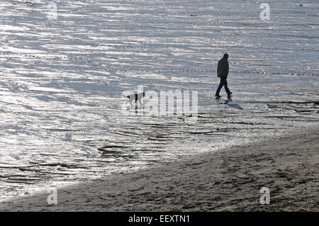 Un uomo cammina il suo cane lungo una spiaggia della Cornovaglia Foto Stock