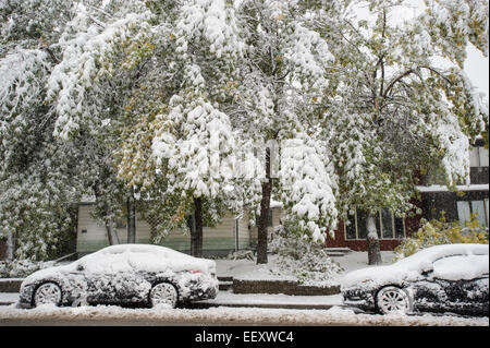 Calgary Foto Stock