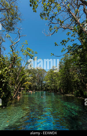 Chiare acque sorgive di La Presa Ojo de Aqua pool vicino a Santo Domingo sulla costa est; Omotepe Island, il lago Nicaragua Nicaragua Foto Stock