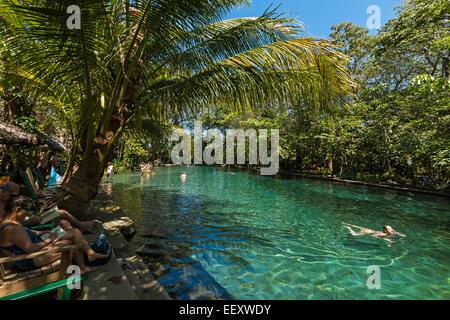 Chiare acque sorgive di La Presa Ojo de Aqua pool vicino a Santo Domingo sulla costa est; Omotepe Island, il lago Nicaragua Nicaragua Foto Stock