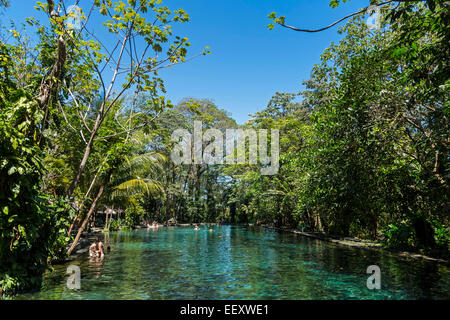 Chiare acque sorgive di La Presa Ojo de Aqua pool vicino a Santo Domingo sulla costa est; Omotepe Island, il lago Nicaragua Nicaragua Foto Stock