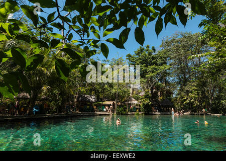 Chiare acque sorgive di La Presa Ojo de Aqua pool vicino a Santo Domingo sulla costa est; Omotepe Island, il lago Nicaragua Nicaragua Foto Stock