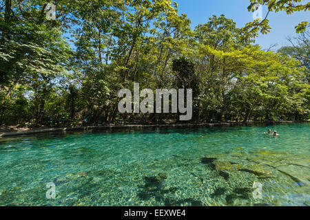 Chiare acque sorgive di La Presa Ojo de Aqua pool vicino a Santo Domingo sulla costa est; Omotepe Island, il lago Nicaragua Nicaragua Foto Stock