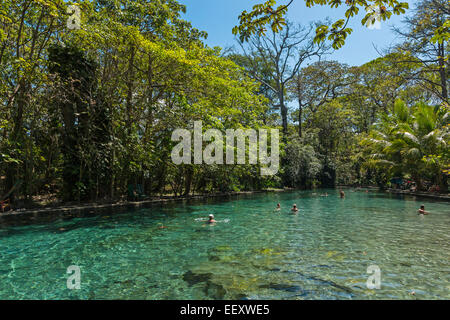 Chiare acque sorgive di La Presa Ojo de Aqua pool vicino a Santo Domingo sulla costa est; Omotepe Island, il lago Nicaragua Nicaragua Foto Stock