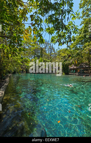 Chiare acque sorgive di La Presa Ojo de Aqua pool vicino a Santo Domingo sulla costa est; Omotepe Island, il lago Nicaragua Nicaragua Foto Stock