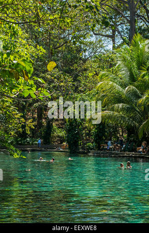 Chiare acque sorgive di La Presa Ojo de Aqua pool vicino a Santo Domingo sulla costa est; Omotepe Island, il lago Nicaragua Nicaragua Foto Stock