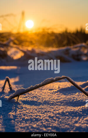 Sole sorge a freddo in inverno mattina Foto Stock