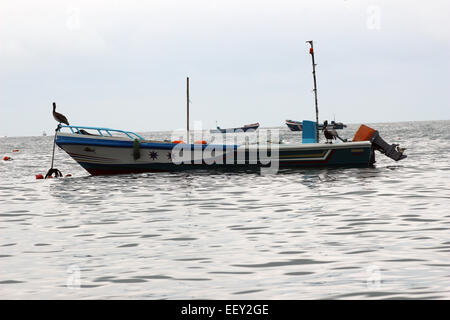 Una barca da pesca ormeggiate in un porto sull'oceano Pacifico in Puerto Lopez, Ecuador Foto Stock