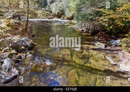 Chiara, trasparente fiume punteggiata di rocce testurizzata e circondato da un variopinto bosco di latifoglie in autunno Foto Stock