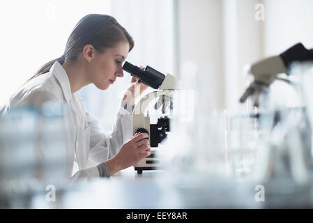 Femmina tecnico di laboratorio analisi il campione attraverso il microscopio Foto Stock