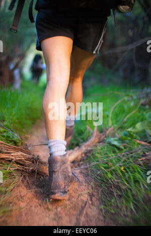 Stati Uniti d'America, Utah, Grand Gulch, Donna trekking nella foresta Foto Stock