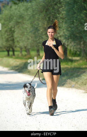 Cani al guinzaglio Foto Stock