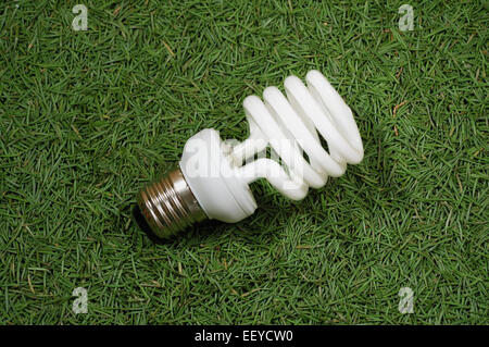 Risparmio energetico lampada omni su aghi di conifere sfondo Foto Stock