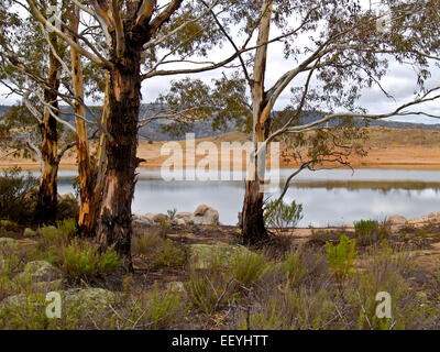 Australia: sulla riva del lago Jindabyne, montagne innevate, NSW Foto Stock