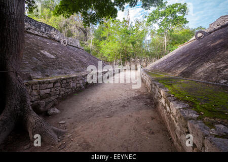 Maya di palla con due anelli di incisione, Coba, Riviera Maya, Yucatan, Messico. Foto Stock