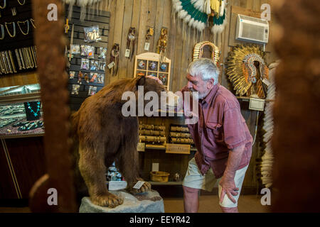 Montana Fur Trading proprietario Alan Gilham sorge all'interno di il suo negozio nella città di Martin, Montana. L'archivio contiene non solo di tassidermia ma la storia recente del Montana quando i commercianti di pellicce e guide dei vecchi giorni ha portato il cercatore d'oro di Bannack e città della Virginia, a Elena e l'Inferno di regioni di gate di Montana Occidentale. (Foto di Ami vitale) Foto Stock