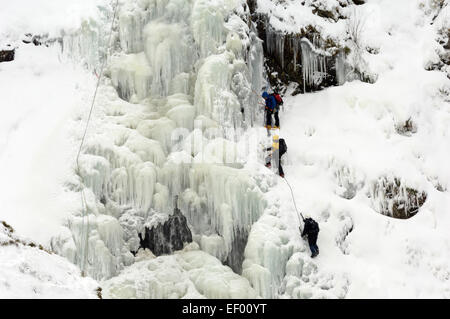 Arrampicata su ghiaccio su grigio mare della cascata di coda, Moffat Hills, Moffat Dale, Dumfries & Galloway, Scozia Foto Stock