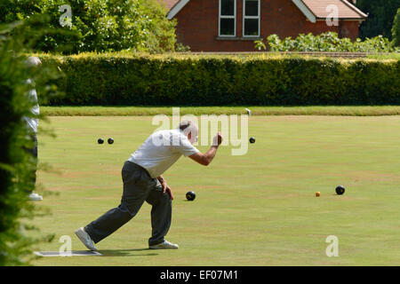 Uomo gioco delle bocce su bowling green in Bedford Park, Bedford, Bedfordshire, Inghilterra Foto Stock