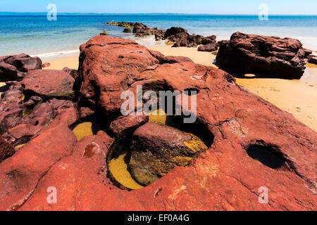 Red Rocks, sabbia dorata e vivid blue ocean al Red Rocks Beach, Phillip Island Victoria, Australia Foto Stock