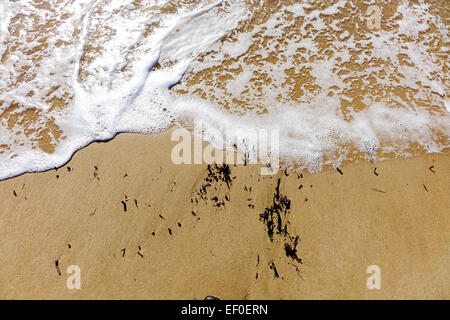 Lavaggio onde sulla spiaggia con qualche erba di mare che mostra attraverso sarebbe adatto per la copertina del libro Foto Stock