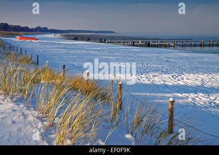 Inverno sulla costa baltica. Foto Stock