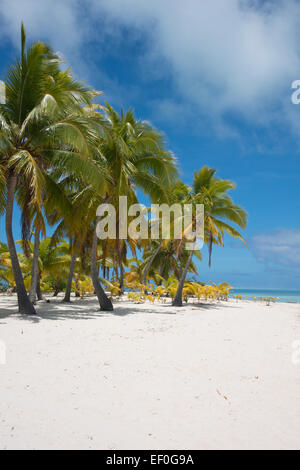 Isole di Cook, Aitutaki (aka Araura). Un piede Island, un piccolo 'motu' nell'area sud-est della laguna. Foto Stock