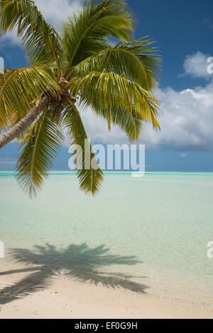 Isole di Cook, Aitutaki (aka Araura). Un piede Island, un piccolo 'motu' nell'area sud-est della laguna. Foto Stock