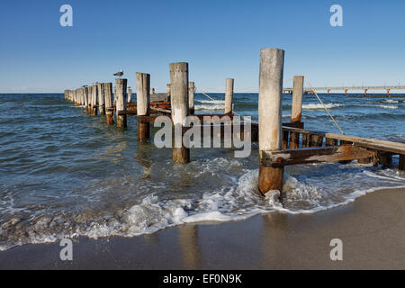 Groyne sulla riva del Mar Baltico in Germania. Foto Stock