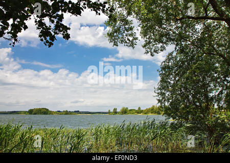 Paesaggio sulle sponde di un lago in Germania. Foto Stock