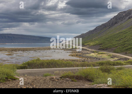 Islanda Westfjords Látrabjarg strada polverosa alla scogliere puffini Foto Stock
